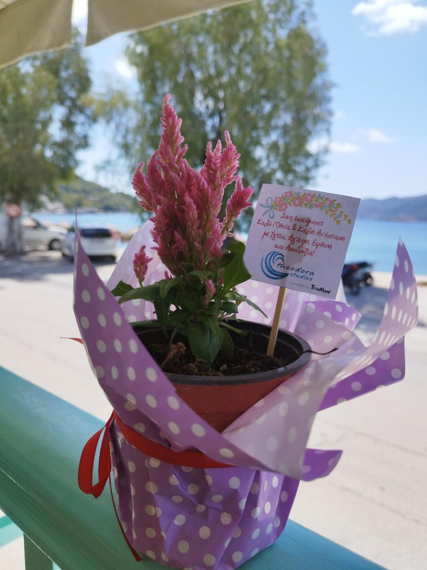Theodora Rooms Poros Town Екстериор снимка