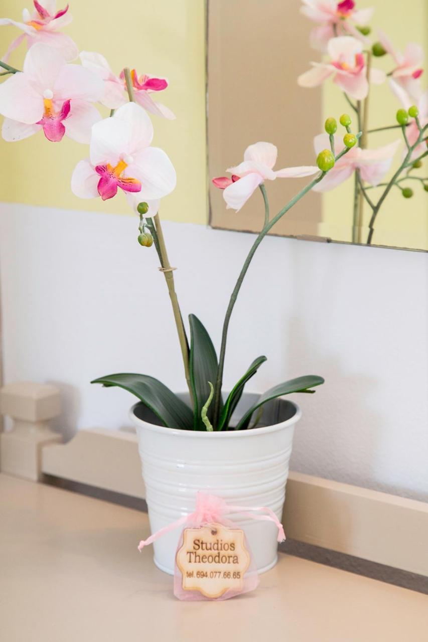 Theodora Rooms Poros Town Екстериор снимка